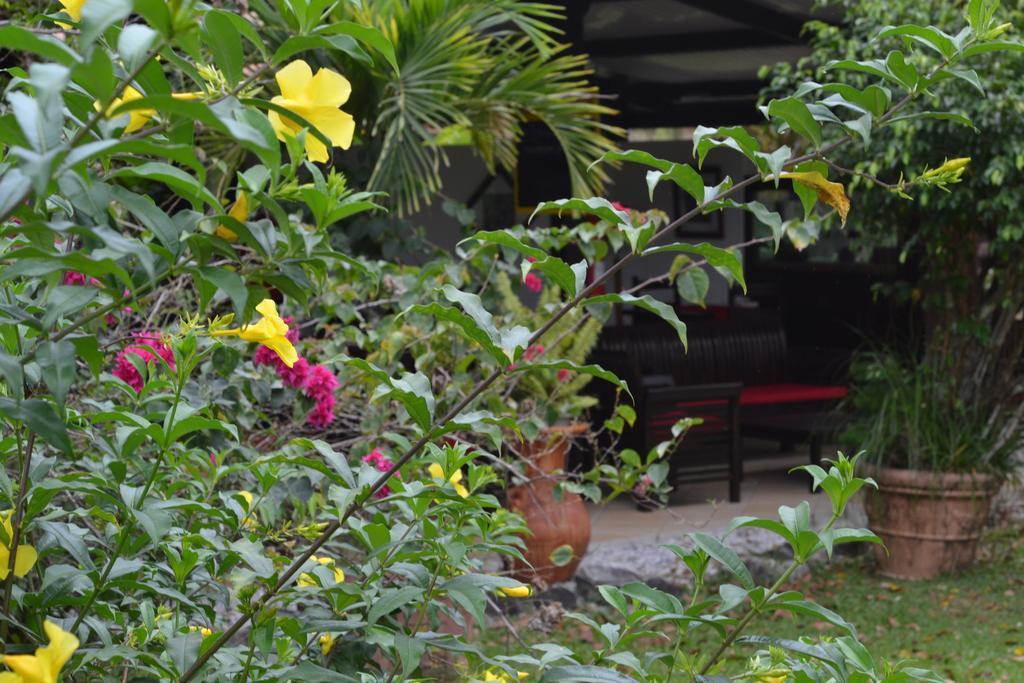 Hotel La Chaumiere Matoury Ngoại thất bức ảnh